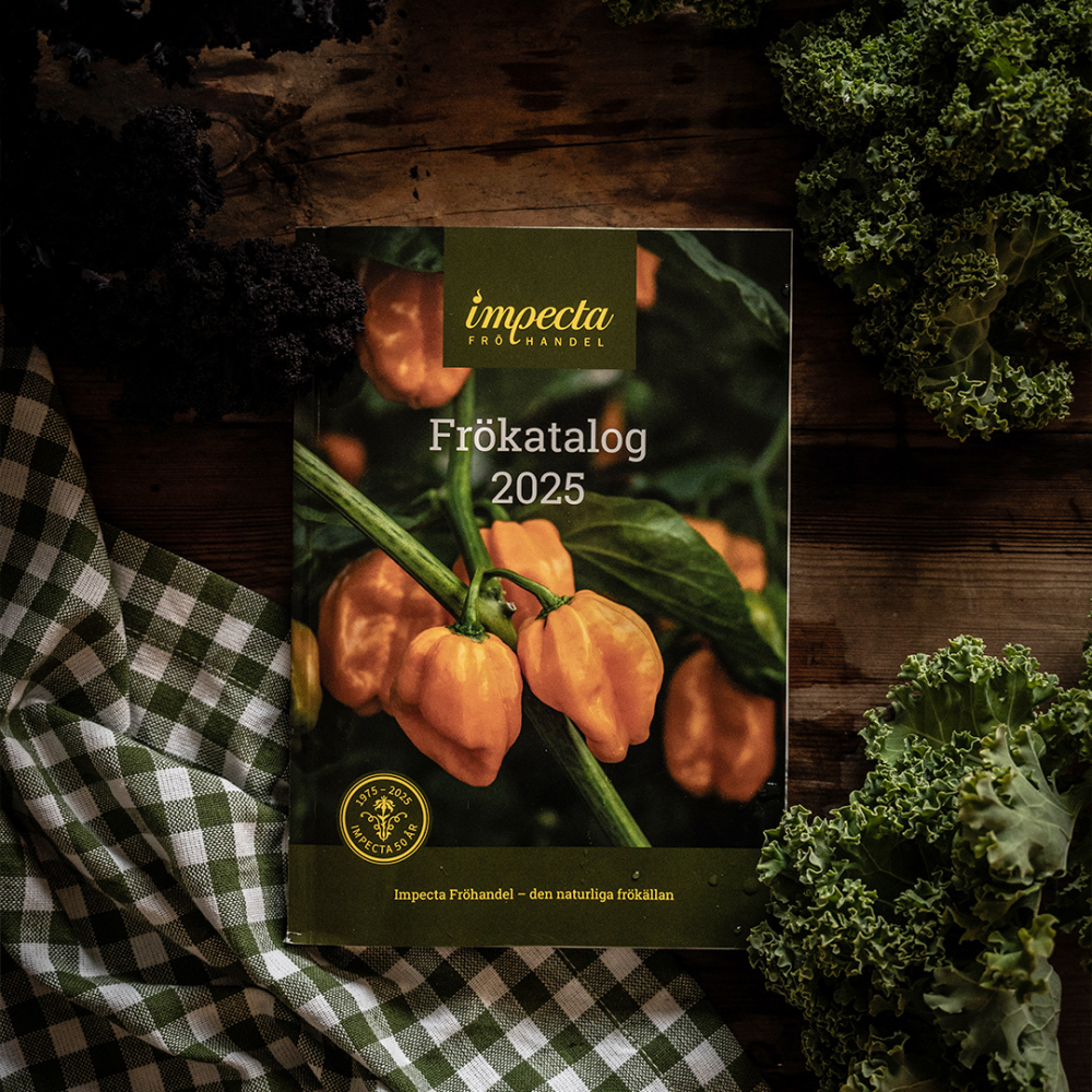 Siemenluettelo ryhmässä  @ Impecta Fröhandel (00)