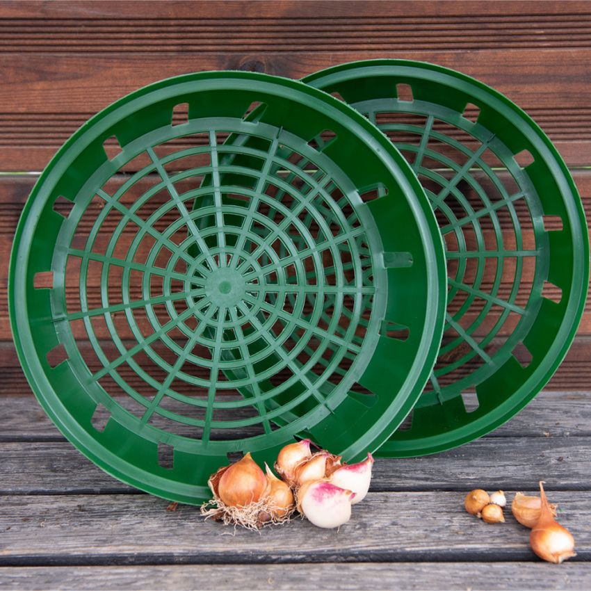 Sipulikori pyöreä 30 cm ryhmässä Lisätarvikkeet @ Impecta Fröhandel (51451)
