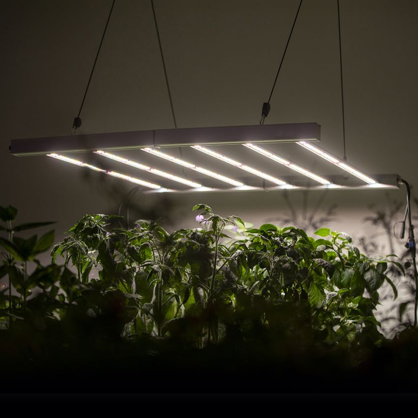 110 x 110 cm / 480 W LED-valaisin kasvihuoneeseen ryhmässä Lisätarvikkeet / Kasvivalaistus @ Impecta Fröhandel (55830)