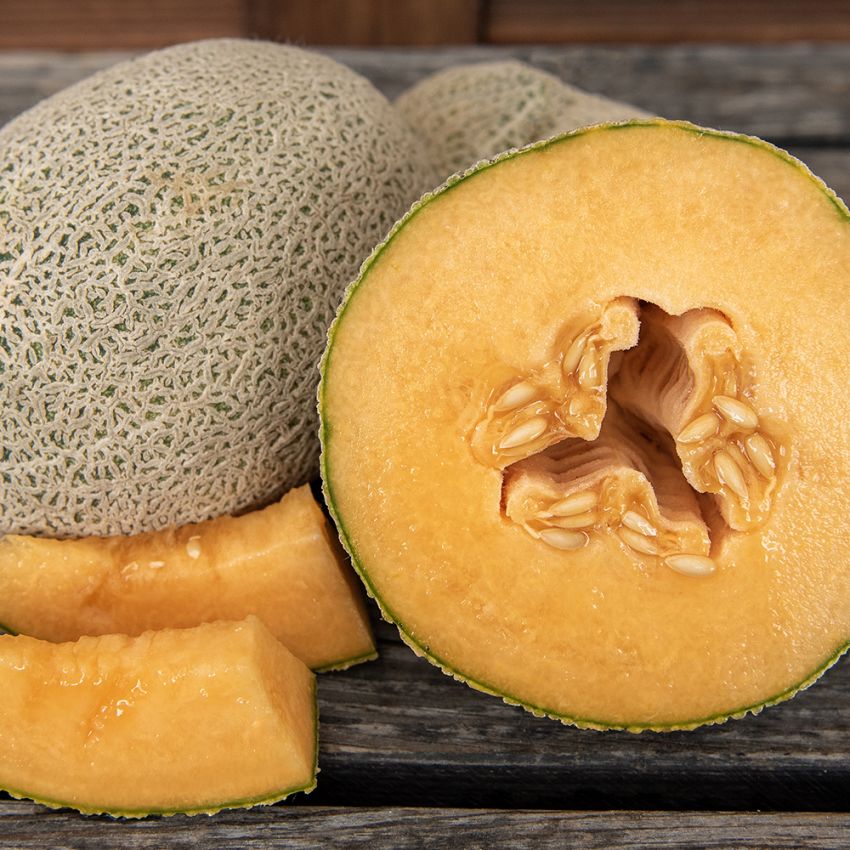 Verkkomeloni 'Hale's Best Jumbo'