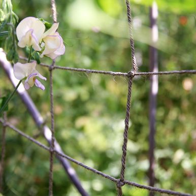 Kasvatusverkko Jute, luonnonvärinen