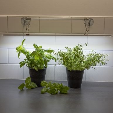 Kasvivalaisin LED No. 1 60 cm 15 W