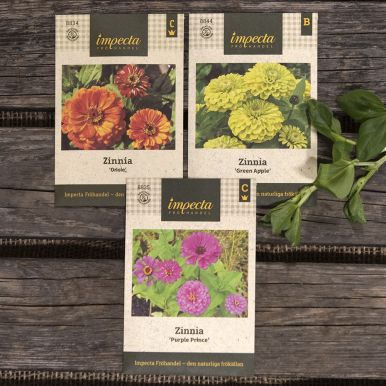 Setä Vihreän parhaat - Tsinnia