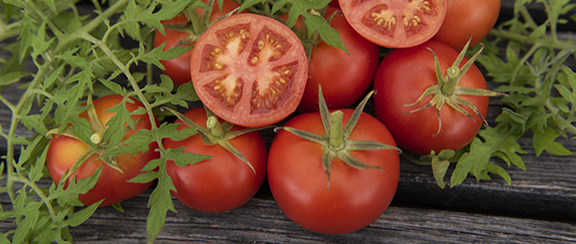 Fröer till ekologiska tomater