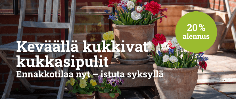 Daaliat 