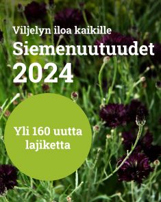 Siemenuutuudet 2024