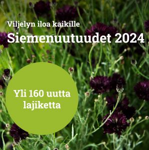 Siemenuutuudet 2024