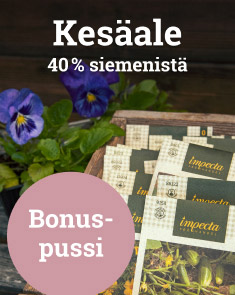 Kesäale