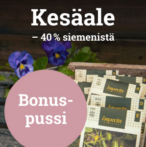 Kesäale