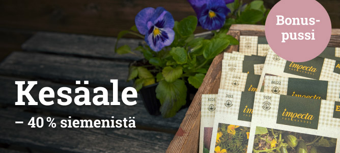 Kesäale