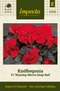 Mukulabegonia F1 'Nonstop Mocca Deep Red', Runsaasti kukkiva kesäloisto kukkapenkkiin, ruukkuihin ja laatikoihin.