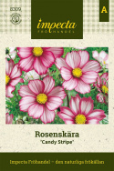 Anna lahjaksi kukansiemeniä kukkapenkkiin