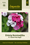 Anna lahjaksi kukansiemeniä kukkapenkkiin