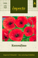 Villi ja kaunis