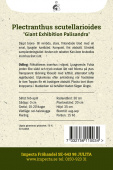 Värinokkonen 'Giant Exhibition Palisandra'