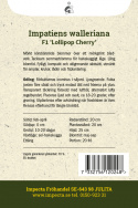 Ahkeraliisa F1 'Lollipop Cherry', Tumman kirsikanpunaiset kukat tummanvihreällä lehdistöllä.