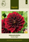 Koristedaalia ''Arabian Night'' 1 kpl