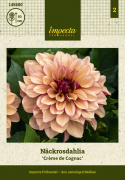 Lummedaalia ''Crème de Cognac'' 1 kpl