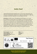Koristedaalia ''Duet'' 1 kpl