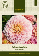 Koristedaalia ''Milena Fleur'' 1 kpl