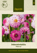 Koristedaalia ''Pink Isa'' 1 kpl