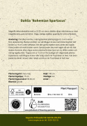 Lautasdaalia ''Bohemian Spartacus'' 1 kpl