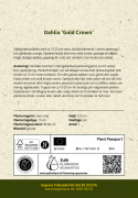 Kaktusdaalia ''Gold Crown'' 1 kpl