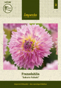Tarhadaalia ''Sakura Fubuki'' 1 kpl