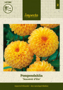 Pompondaalia ''''Souvenir d''''Ete'''' 1 kpl