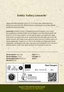 Koristedaalia ''Gallery Leonardo'' 1 kpl