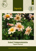 Tarhadaalia ''Topmix Apricot'' 1 kpl