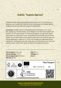 Tarhadaalia ''Topmix Apricot'' 1 kpl