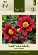 Tarhadaalia ''Topmix Purple'' 1 kpl