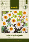 Tarhadaalia ''Happy Days Cream White'' 1 kpl