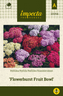 Siankärsämö 'Flowerburst Fruit Bowl'