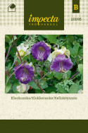 Kelloköynnös