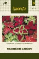 Värinokkonen 'Masterblend Rainbow'