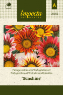 Keltatimanttikukka 'Sunshine'