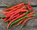 Chilipaprika 'Cayenne Long Slim'