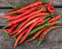 Chilipaprika 'Cayenne Long Slim'