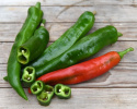 Chilipaprika 'Anaheim'