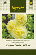 Tarhasalkoruusu 'Chater's Golden Yellow'
