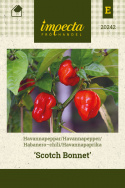 Havannapaprika 'Scotch Bonnet'