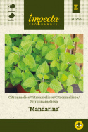 Sitruunamelissa 'Mandarina'