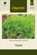 Lehtitilli 'Thalia'