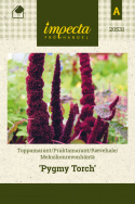 Meksikonrevonhäntä 'Pygmy Torch'