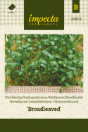 Leveälehtinen vihanneskrassi 'Broadleaved'