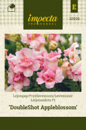 Leijonankita F1 'DoubleShot Appleblossom'
