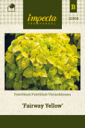 Värinokkonen 'Fairway Yellow'