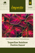 Värinokkonen 'Superfine Rainbow Festive Dance'